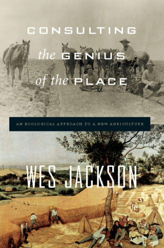 Cover image: Consulting the Genius of the Place 9781582437804
