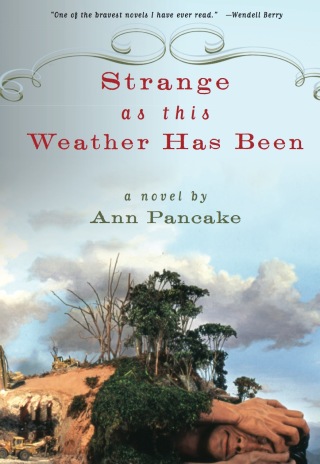 Cover image: Strange as This Weather Has Been 9781593761660