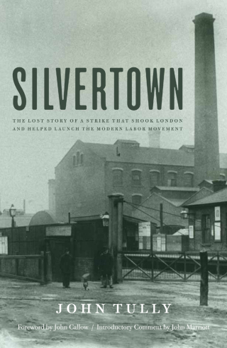 Imagen de portada: Silvertown 9781583674345