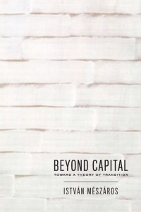 Cover image: Beyond Capital 9780853458814