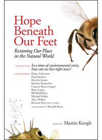 Cover image: Hope Beneath Our Feet 9781556439193