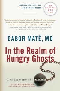 Cover image: In the Realm of Hungry Ghosts 9781556438806