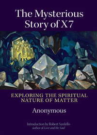 Cover image: The Mysterious Story of X7 9781556438714