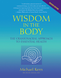Cover image: Wisdom in the Body 9781556435591