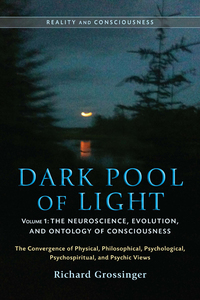 Cover image: Dark Pool of Light, Volume One 9781583944349