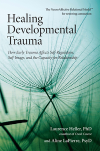 Cover image: Healing Developmental Trauma 9781583944899
