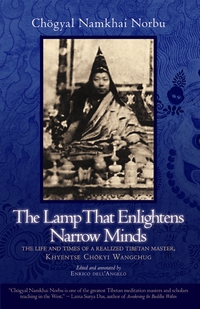 Cover image: The Lamp That Enlightens Narrow Minds 9781583944929