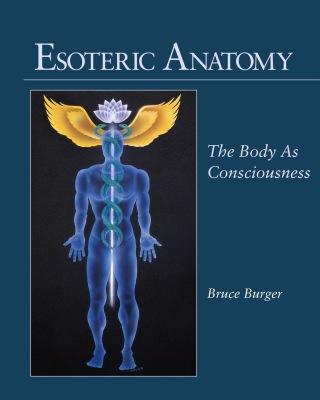 Cover image: Esoteric Anatomy 9781556432248