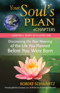 Cover image: Your Soul's Plan eChapters - Chapter 6: Death of a Loved One 9781583942727
