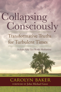 Cover image: Collapsing Consciously 9781583947128