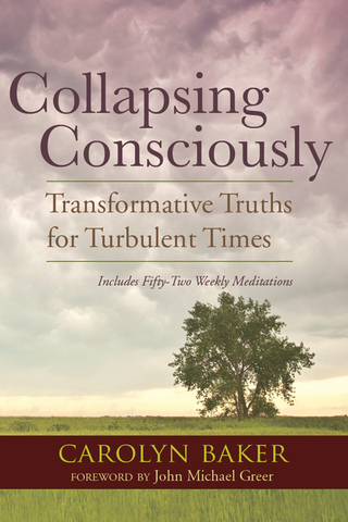 Cover image: Collapsing Consciously 9781583947128