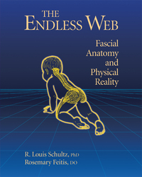 Cover image: The Endless Web 9781556432286