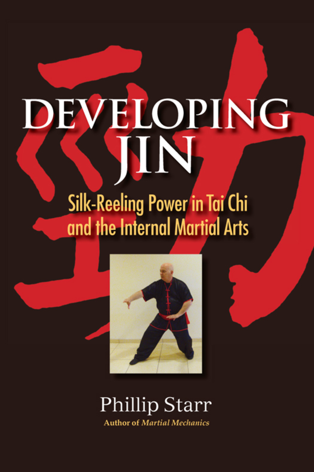 Developing Jin (eBook)