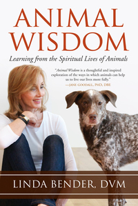Cover image: Animal Wisdom 9781583947739