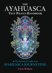 Cover image: The Ayahuasca Test Pilots Handbook 9781583947913