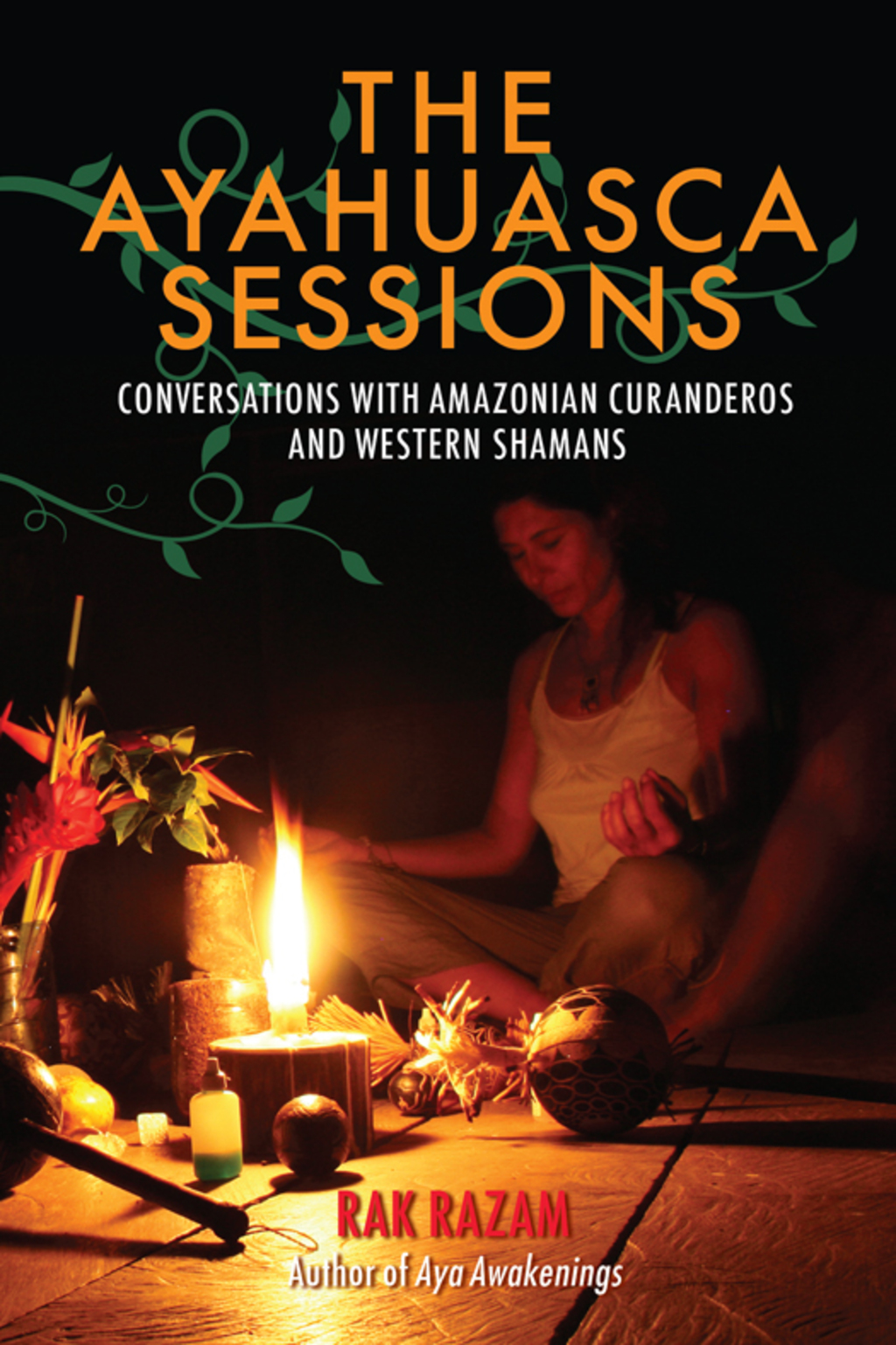The Ayahuasca Sessions eBook