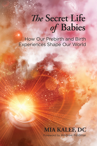 Cover image: The Secret Life of Babies 9781583948033