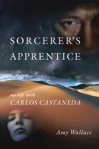 Cover image: Sorcerer's Apprentice 9781583942062