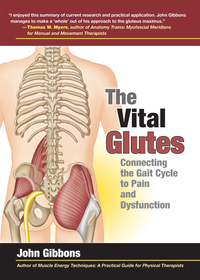 Cover image: The Vital Glutes 9781583948477
