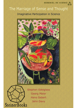 Imagen de portada: The Marriage of Sense and Thought 1st edition 9781584201069