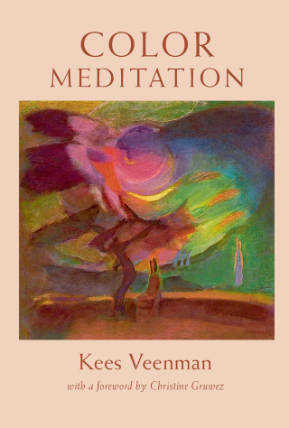 Cover image: Color Meditation 1st edition 9781584208730