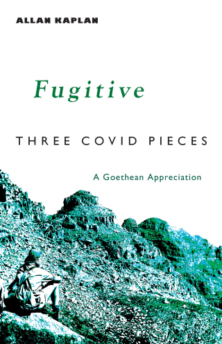 Imagen de portada: Fugitive 1st edition 9781584208815