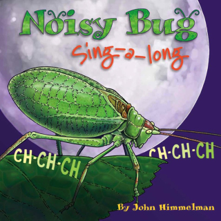 Cover image: Noisy Bug Sing-Along 9781584691921