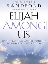 Cover image: Elijah Among Us 9780800793036