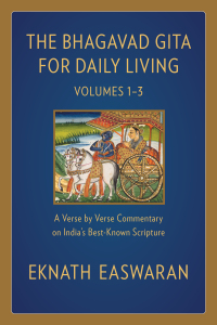 Cover image: The Bhagavad Gita for Daily Living 9781586381363
