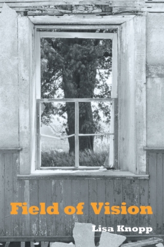 Cover image: Field Of Vision 9780877455516