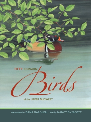 Cover image: Fifty Common Birds of the Upper Midwest 9780877459835