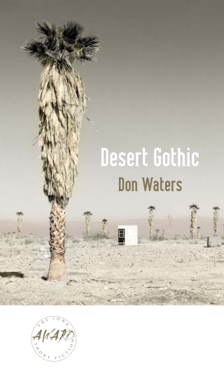 Imagen de portada: Desert Gothic 9781587296246