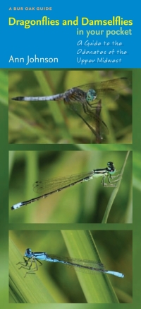 Cover image: Dragonflies and Damselflies in Your Pocket 9781587297861