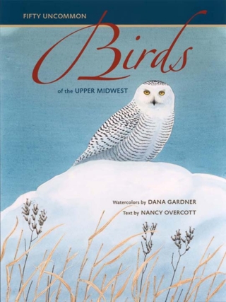 Cover image: Fifty Uncommon Birds of the Upper Midwest 9781587295904