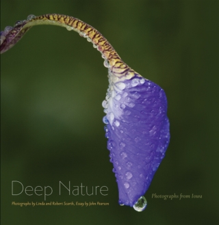 صورة الغلاف: Deep Nature 9781587298240
