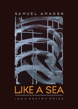 Imagen de portada: Like a Sea 9781587298608