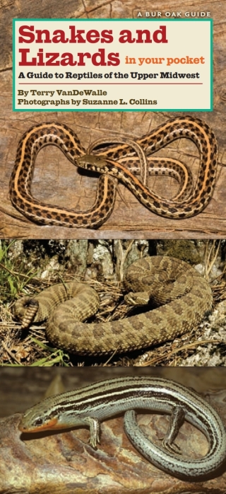 Imagen de portada: Snakes and Lizards in Your Pocket 9781587298721