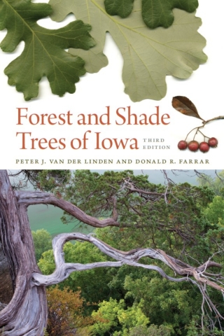 Cover image: Forest and Shade Trees of Iowa 9781587299940