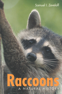 Cover image: Raccoons 9781588340337