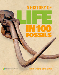 Cover image: A History of Life in 100 Fossils 9781588344823