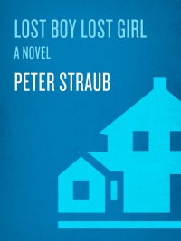 Cover image: lost boy lost girl 9781400060924