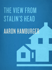 Cover image: The View from Stalin's Head 9780812970937