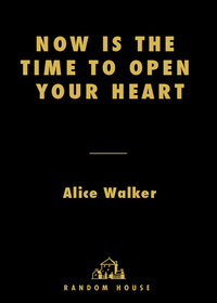 Cover image: Now Is the Time to Open Your Heart 9781400061730