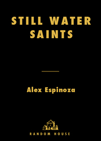 Cover image: Still Water Saints 9781400065394