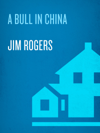 Cover image: A Bull in China 9781400066162