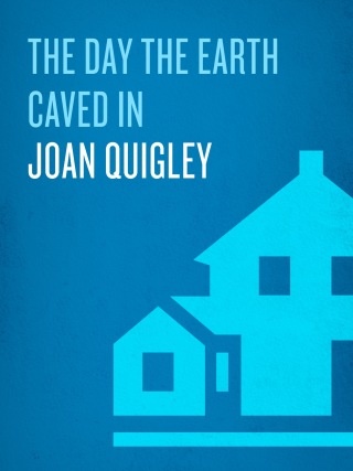 Cover image: The Day the Earth Caved In 9781400061808
