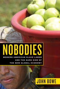 Cover image: Nobodies 9781400062096