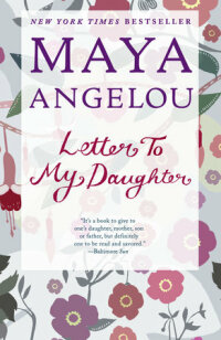 Cover image: Letter to My Daughter 9781400066124