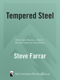 Cover image: Tempered Steel 9781576738924