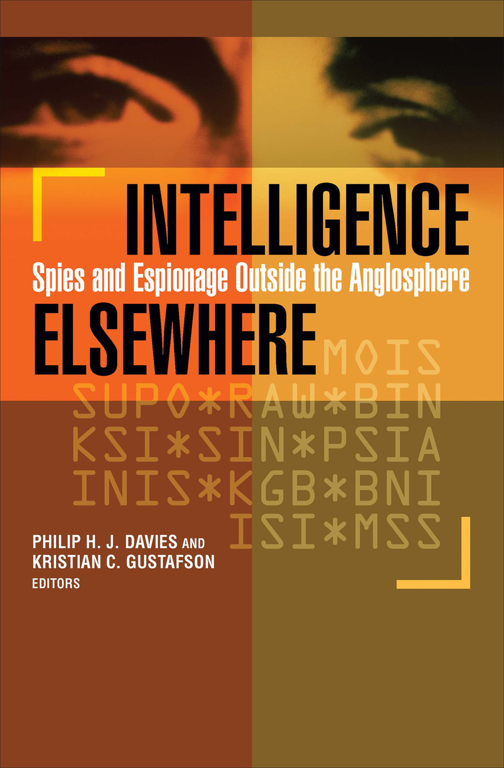 Intelligence Elsewhere (eBook)